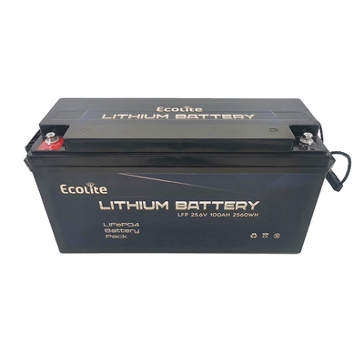 High Density Fast Charging LifePO4 Lithium Battery 25.6V 100Ah 2560Wh