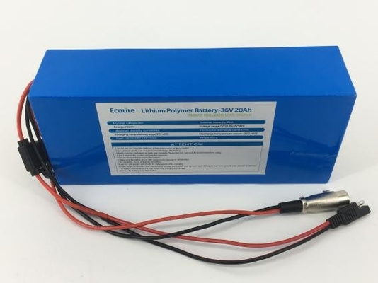 Ecolite NCM Battery High Density Battery 36V 20.8Ah Lithium Battery With BMS
