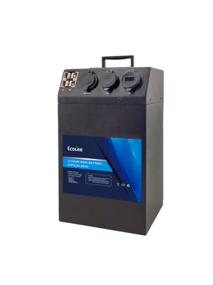 Custom Protable Power LiFePO4 Lithium Battery 12.8V 80Ah  AC DC  Power Bank